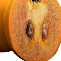 Artvin Hurması | Dalından Doğal Tat (1 Kg)