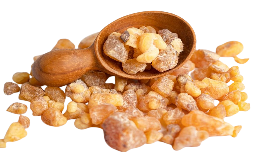 Çam Sakızı | Doğanın Efsane Hediyesi