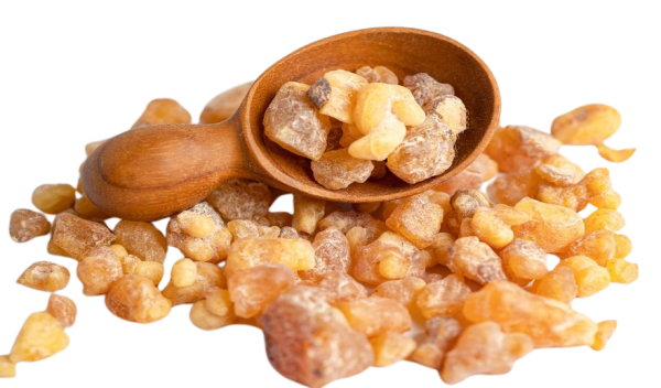 Çam Sakızı | Doğanın Efsane Hediyesi