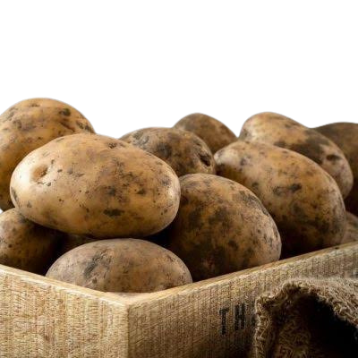 Artvin Beyaz Patates | Katkısız, Doğal ve Lezzetli (1 Kg)