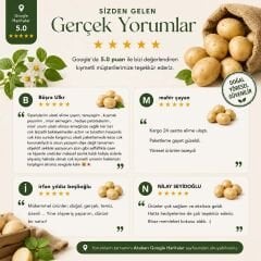 Artvin Beyaz Patates | Katkısız, Doğal ve Lezzetli (1 Kg)