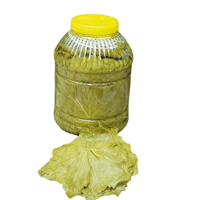 Salamura Yaprak | İnce Damarlı, Kolay Sarılan (3 Kg)