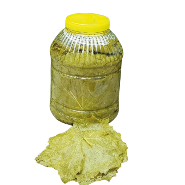 Salamura Yaprak | İnce Damarlı, Kolay Sarılan (3 Kg)