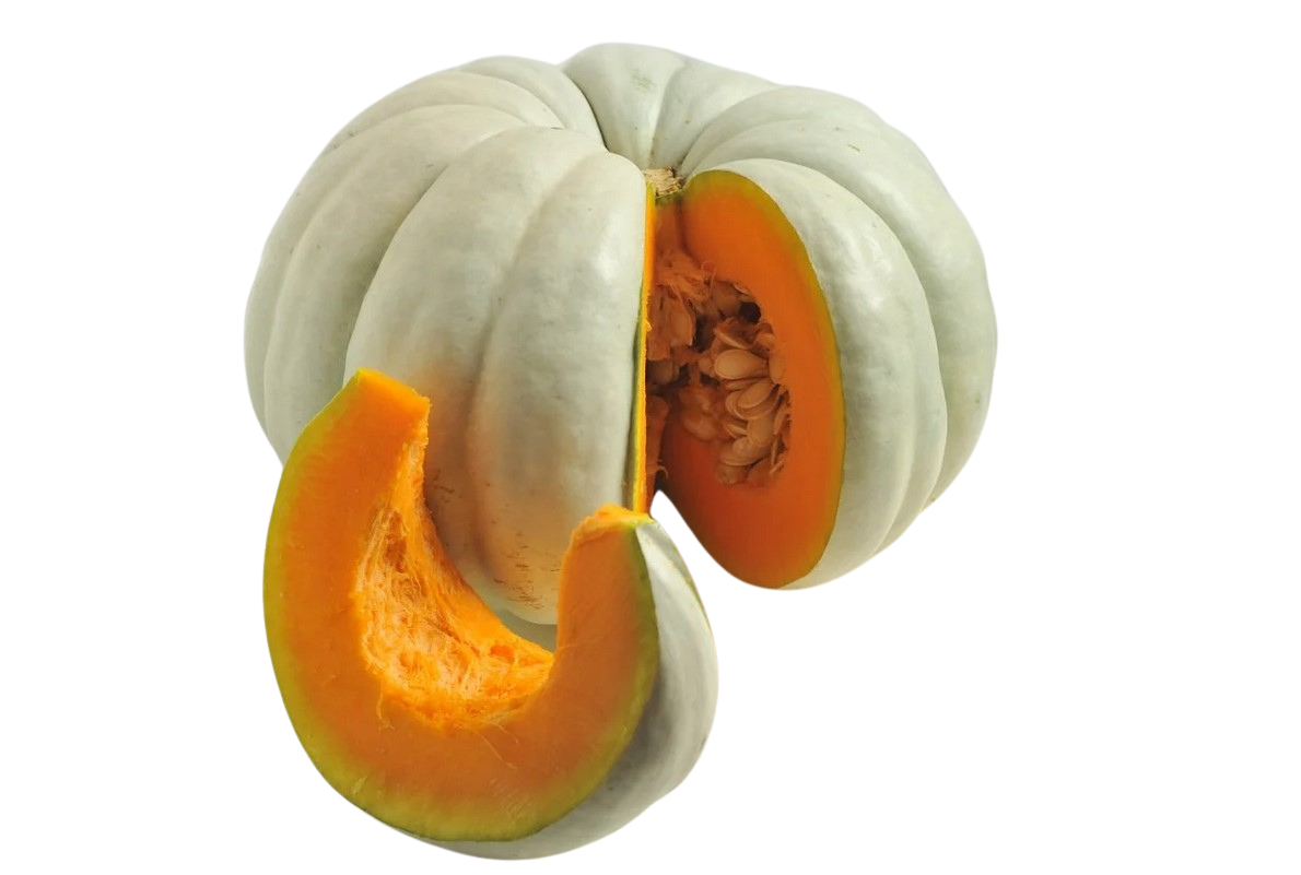 Bal Kabağı | Vitamin Deposu Yöresel Lezzet (8-10 Kg)