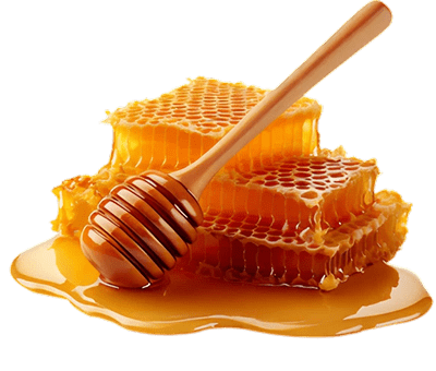 Doğal Bal ve Reçel Çeşitleri